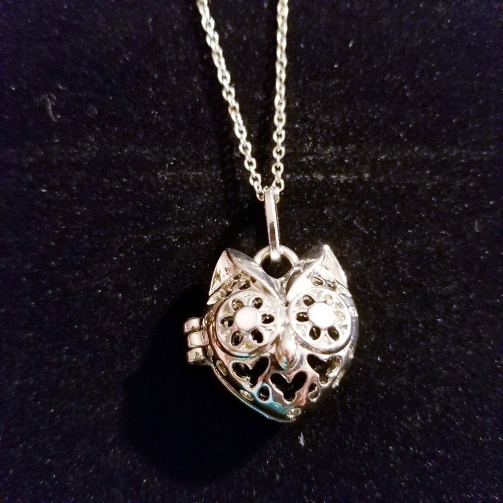 Silver Owl Head Aromatherapy Locket Necklace
